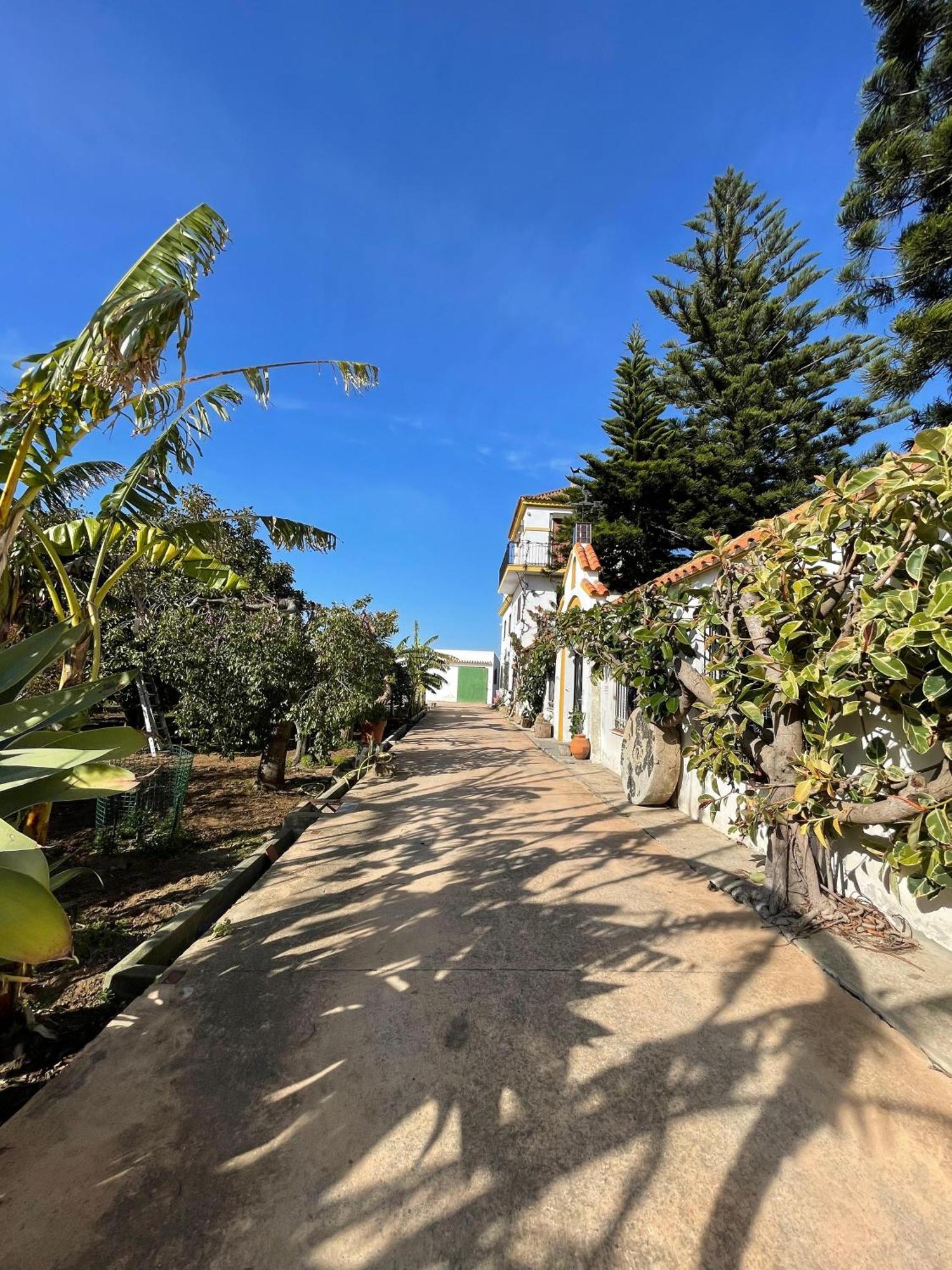 Finca La Tacita - Petunia كونيل ذي لا فرونتيرا المظهر الخارجي الصورة